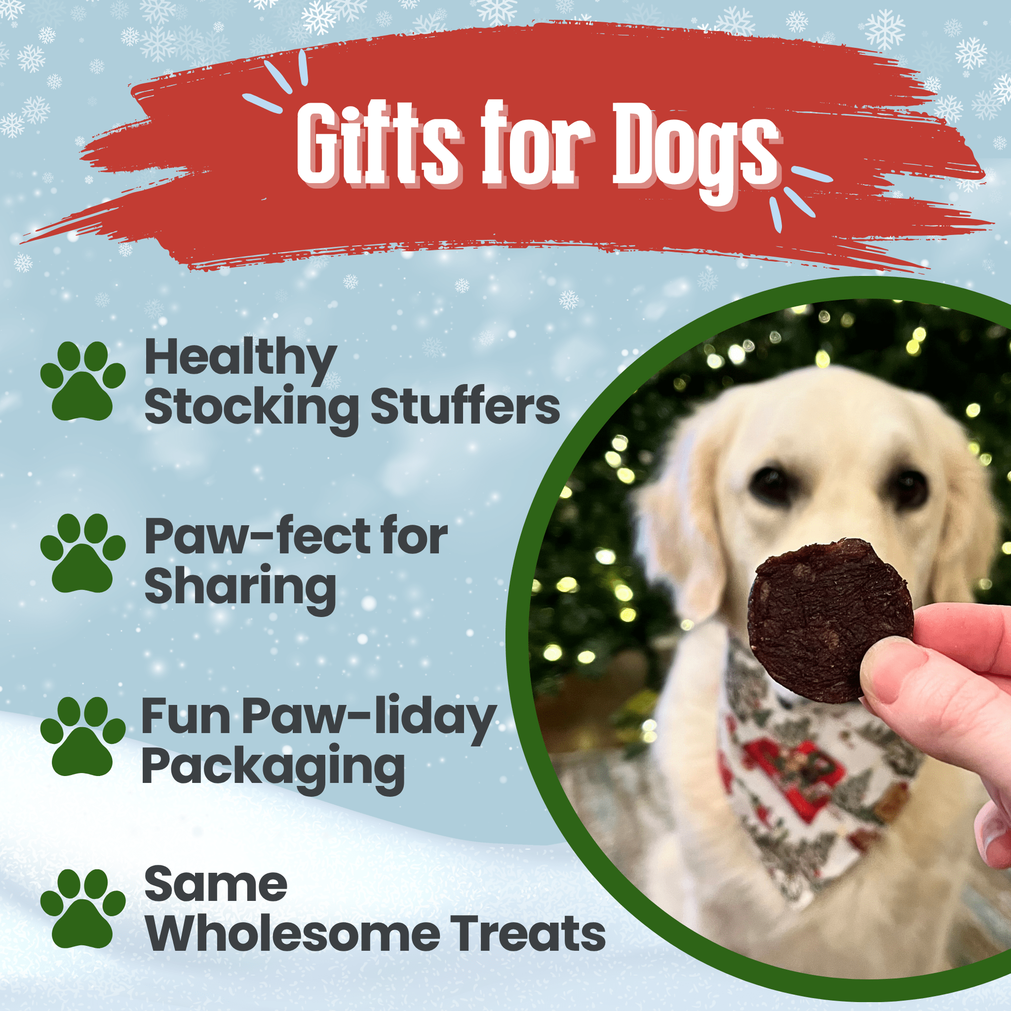 Promotional graphic for dog gifts with a dog holding a treat and text about healthy stocking stuffers.