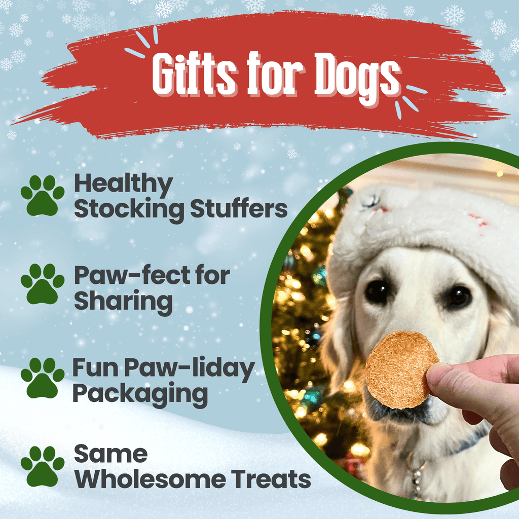 Promotional graphic for dog gifts with a dog wearing a hat and holding a treat, set against a Christmas tree background.