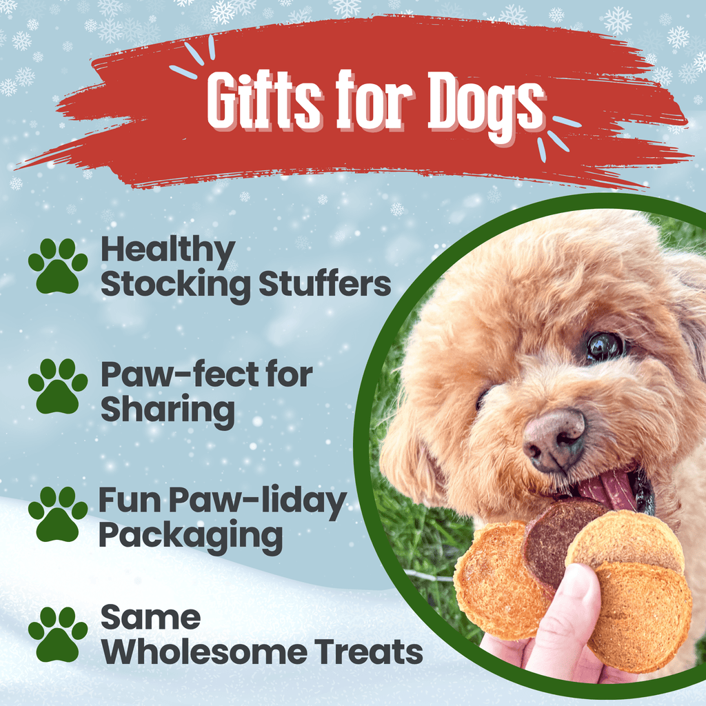 Promotional graphic for dog gifts with a fluffy brown dog holding a toy, set against a snowy background.