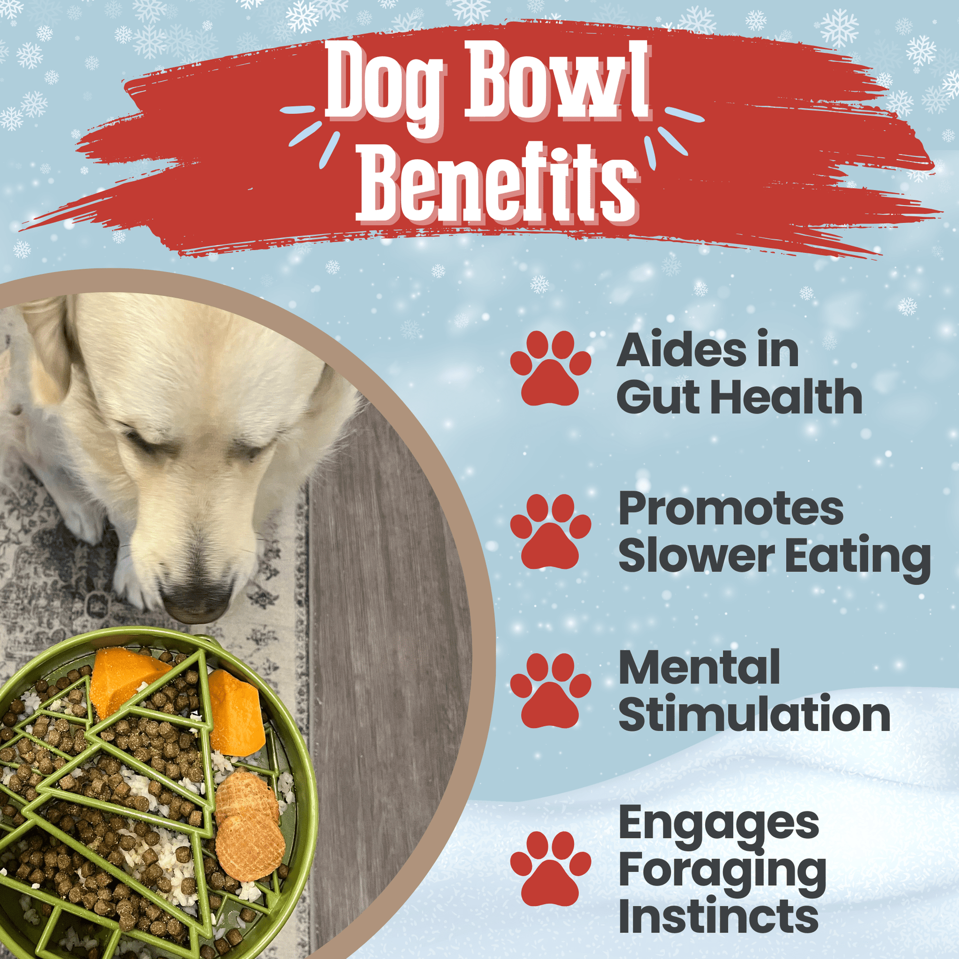 Dog bowl with food and a dog eating, featuring text about dog bowl benefits on a light blue background.