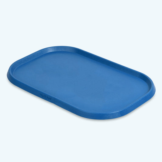 Blue tray on a light gray background