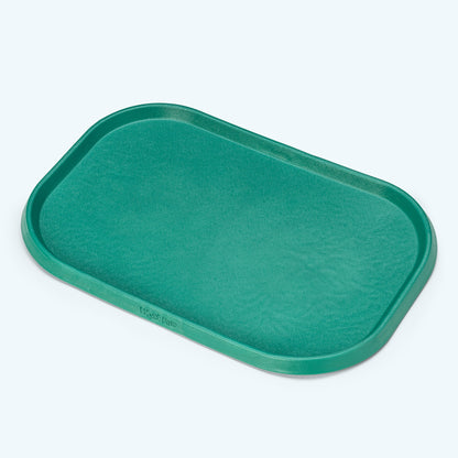 Green tray on a light blue background