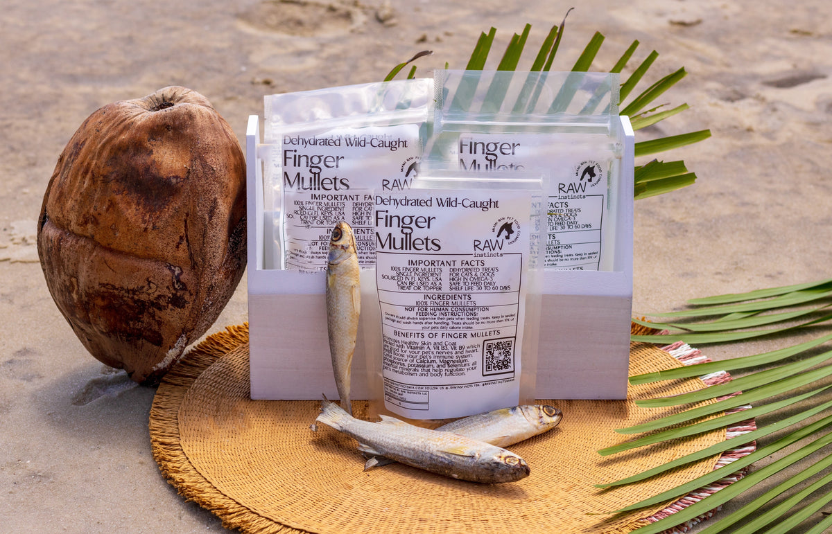 Dehydrated finger mullets, five whole single ingredient fish treats per bag