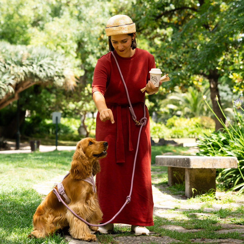 FURLOU Bordeaux Hands-Free Braided Leash worn by a dog, view 3