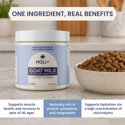HOLI+ goat milk powder container with pet food on a kitchen counter