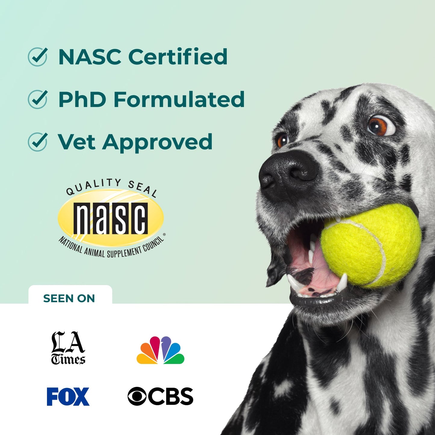 Dog holding a tennis ball with NASC certification text and logos on a light green background