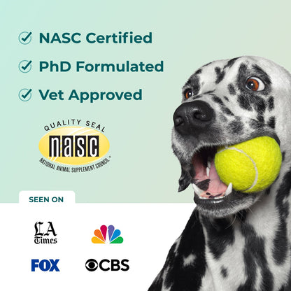 Dog holding a tennis ball with NASC certification text and logos on a light green background