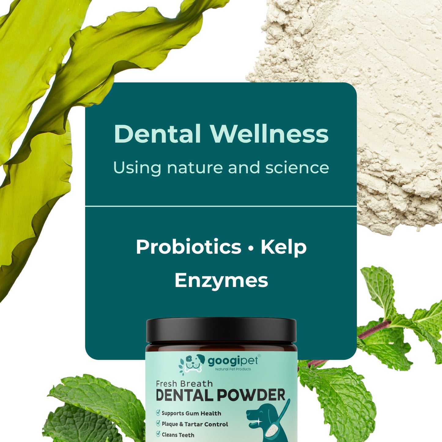 Dental wellness product with probiotics, kelp, and enzymes on a natural background.