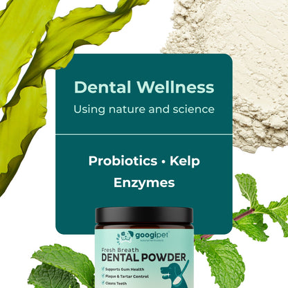 Dental wellness product with probiotics, kelp, and enzymes on a natural background.