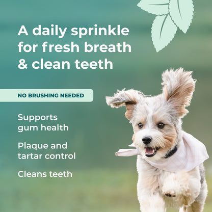 Dog with text about a daily sprinkle for fresh breath and clean teeth on a green background