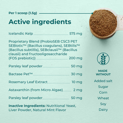Nutritional label with active ingredients and a scoop of powder on a light green background