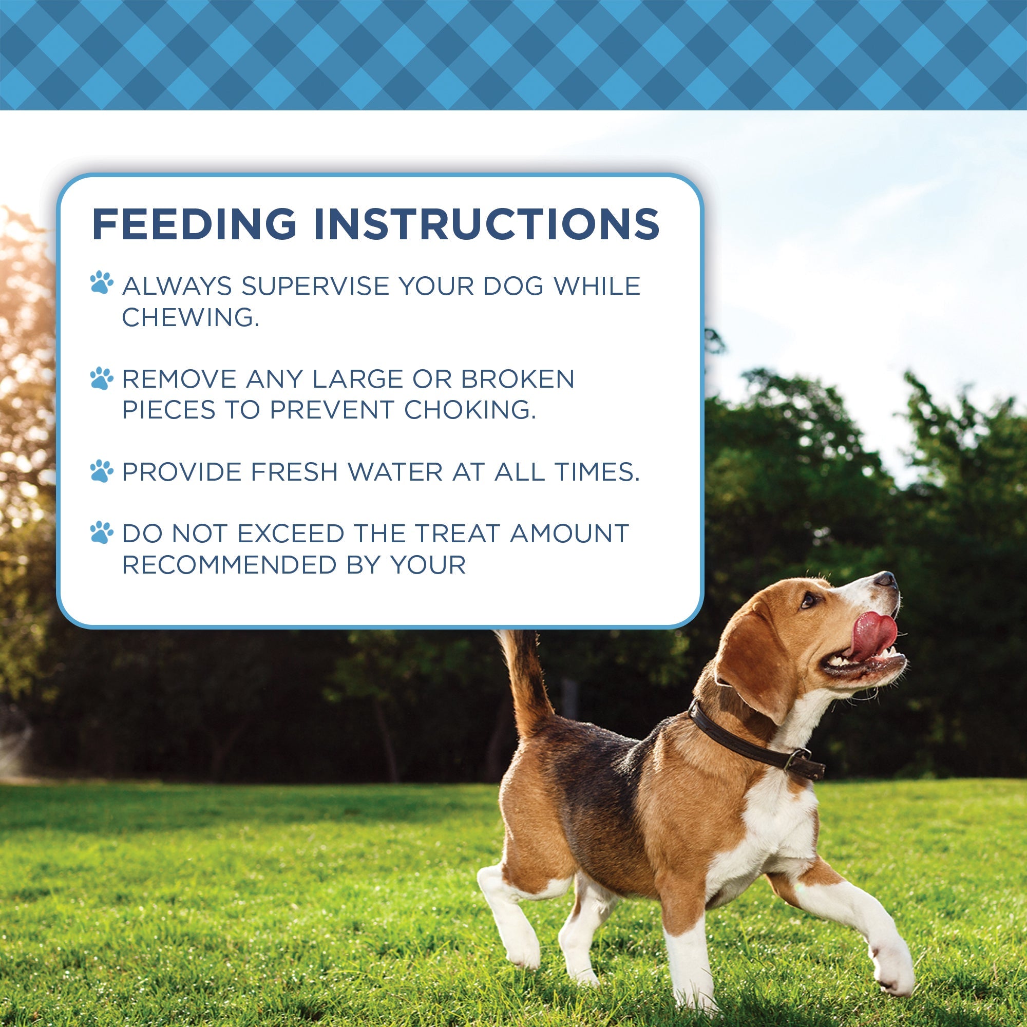 Country Living 6” Gullet Flats Dog Treats – 20 Count Bag – All-Natural Beef Esophagus Chews – High-Protein, Easily Digestible, Single-Ingredient Dog Treats – Grain-Free & Long-Lasting - Whisker House