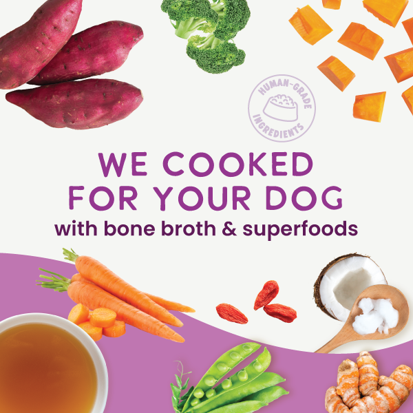 Product packaging for 'We Cooked For Your Dog' with ingredients like carrots, sweet potatoes, and bone broth.