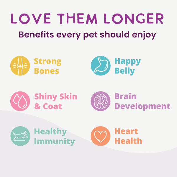 List of benefits for pets including strong bones, happy belly, shiny skin & coat, brain development, healthy immunity, and heart health on a light background.