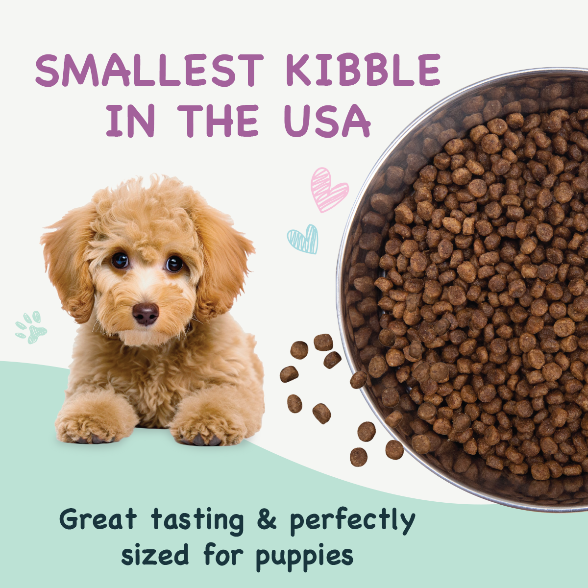 Puppy with a bowl of dog food and text about the smallest kibble in the USA.