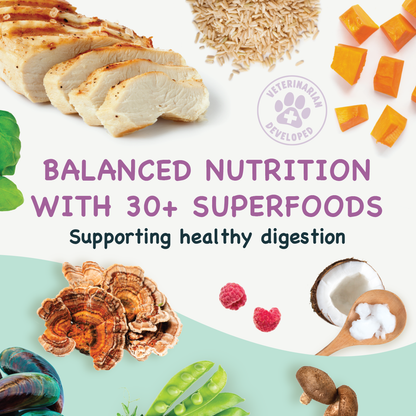 Balanced nutrition with superfoods for healthy digestion on a white background