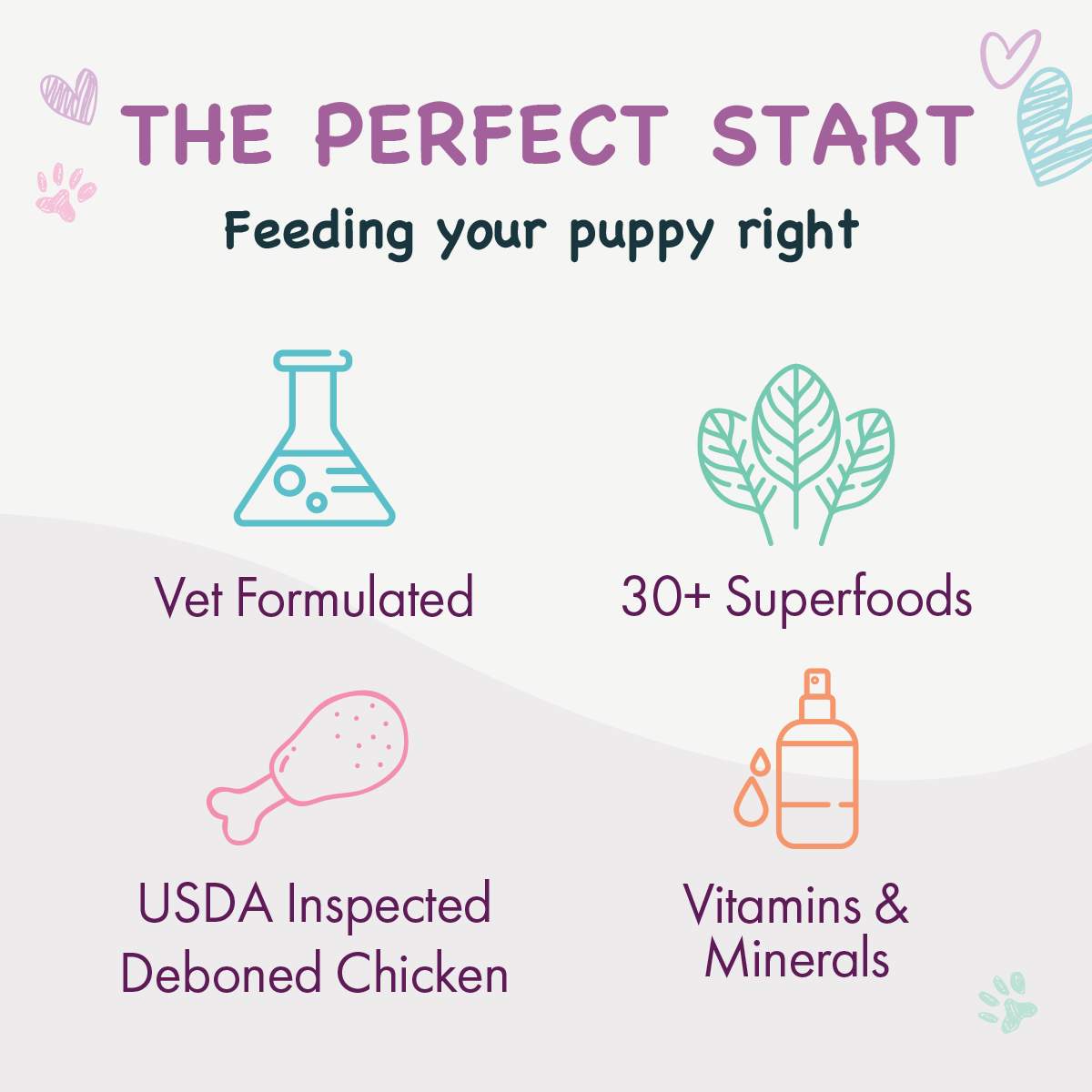 Advertisement for a puppy food product highlighting key features on a light purple background.