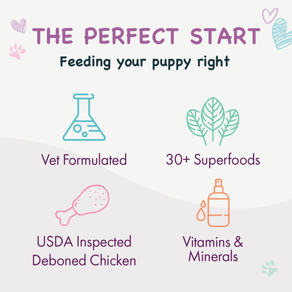Advertisement for a puppy food product highlighting key features on a light purple background.