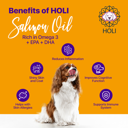 Advertisement for Holi Salmon Oil with a dog and listed benefits on an orange background