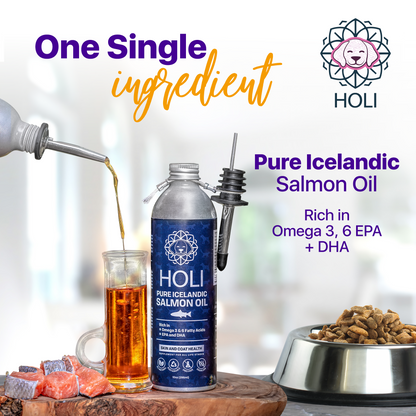 HOLI Icelandic Salmon Oil for Dogs | Whisker House