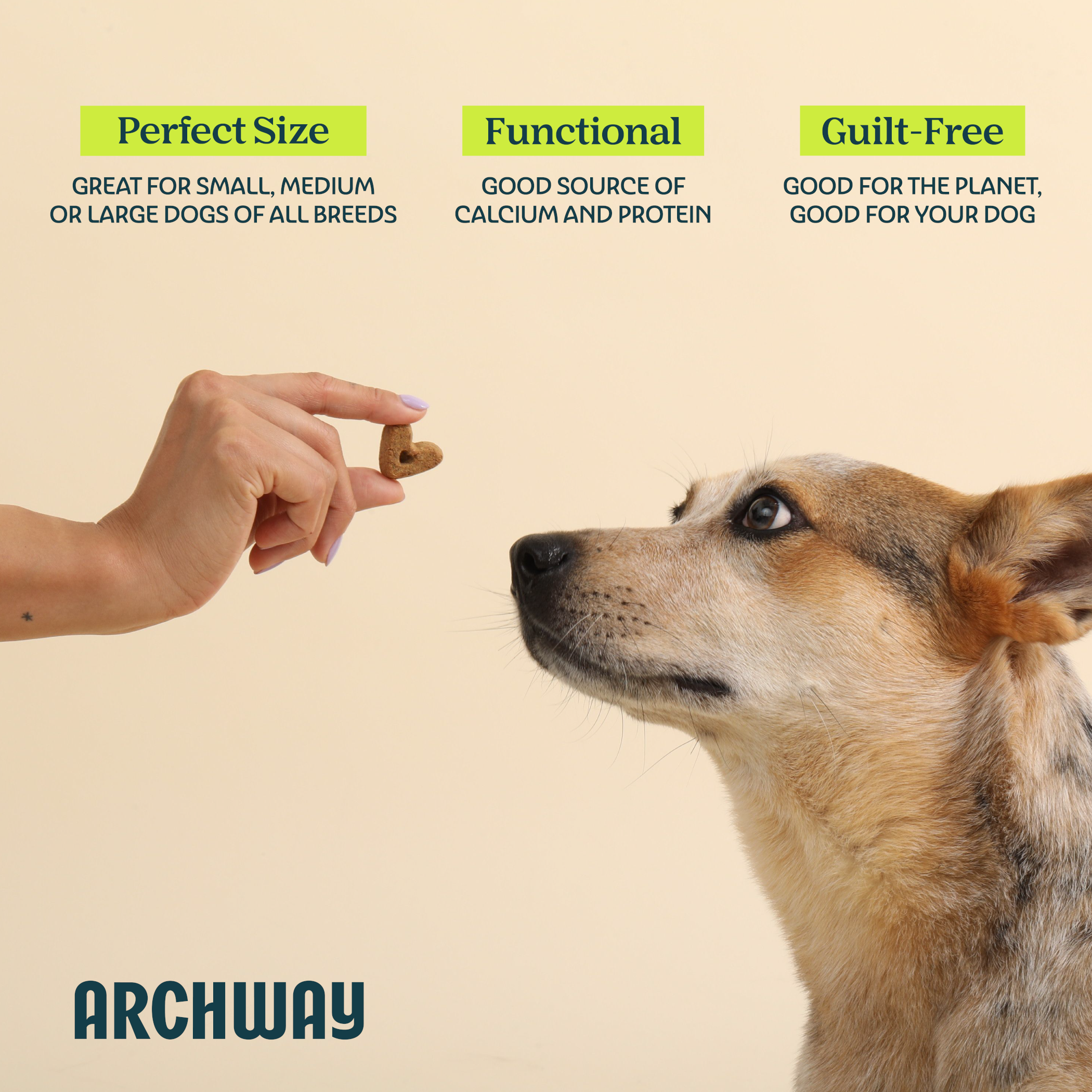 Dog being fed a treat with text highlighting 'Perfect Size', 'Functional', and 'Guilt-Free' on a beige background, featuring the Archway brand.