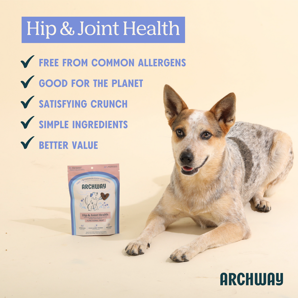 Dog with Archway pet food packaging on a beige background, highlighting hip and joint health benefits.