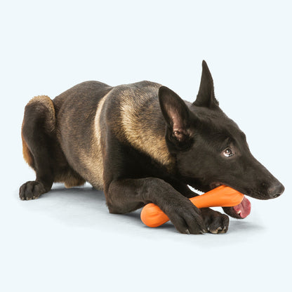 Dog playing with a carrot-shaped toy on a white background