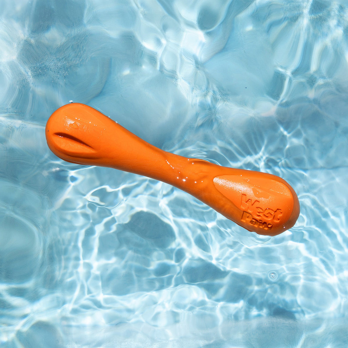 Orange dog toy floating in clear blue water