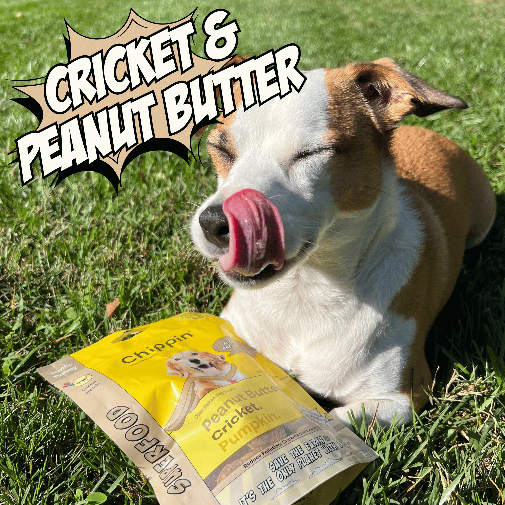 Dog licking its lips next to a bag of cricket and peanut butter treat mix on grass
