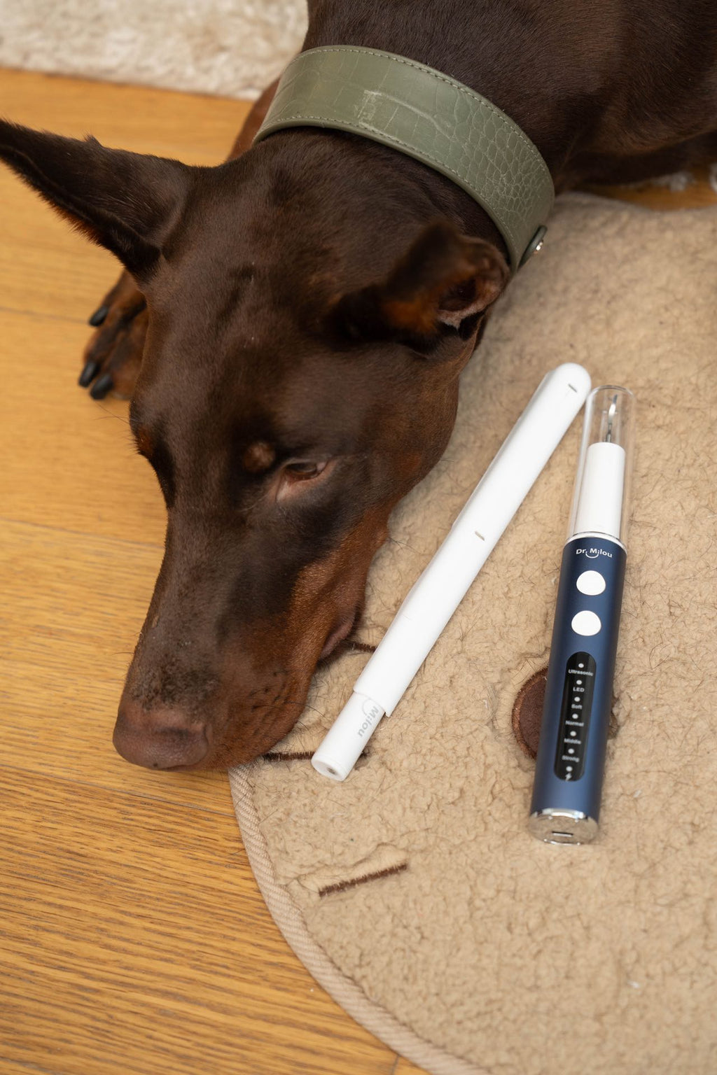 Dog lying on a rug next to two electronic devices on a wooden floor.