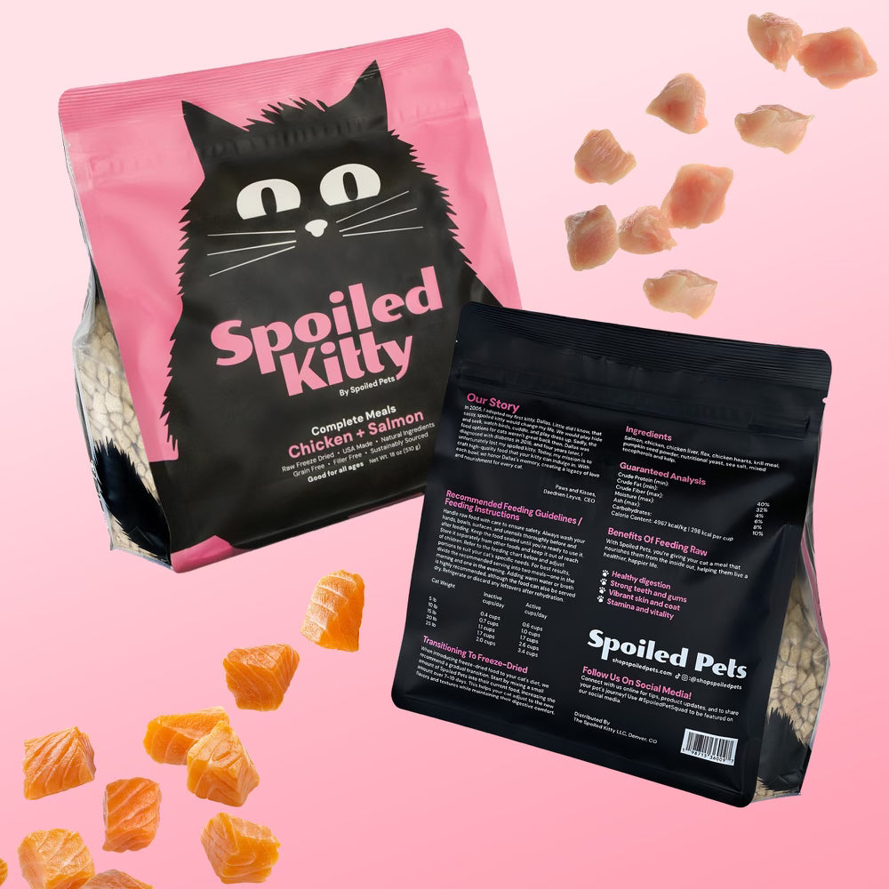 Two packages of 'Spoiled Kitty' cat treats on a pink background with scattered treats.