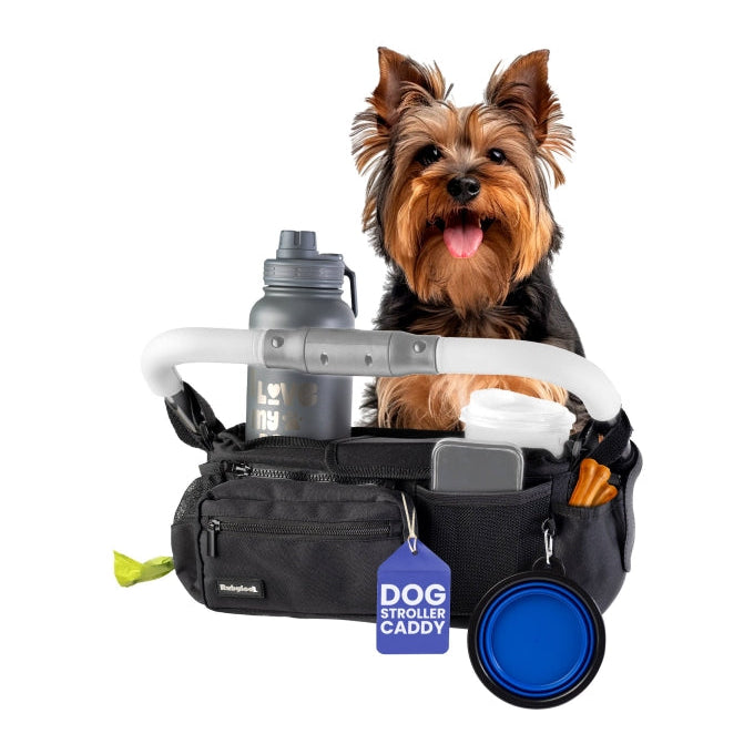 Dog stroller caddy with a small dog inside on a white background
