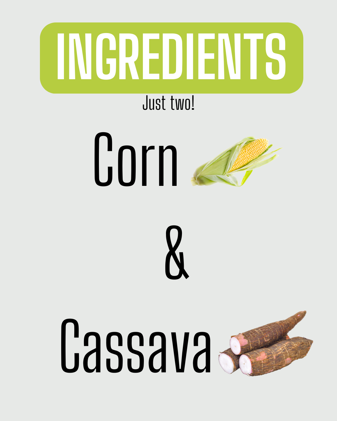 Cassava and corn cat litter shown filled into a clean litter tray