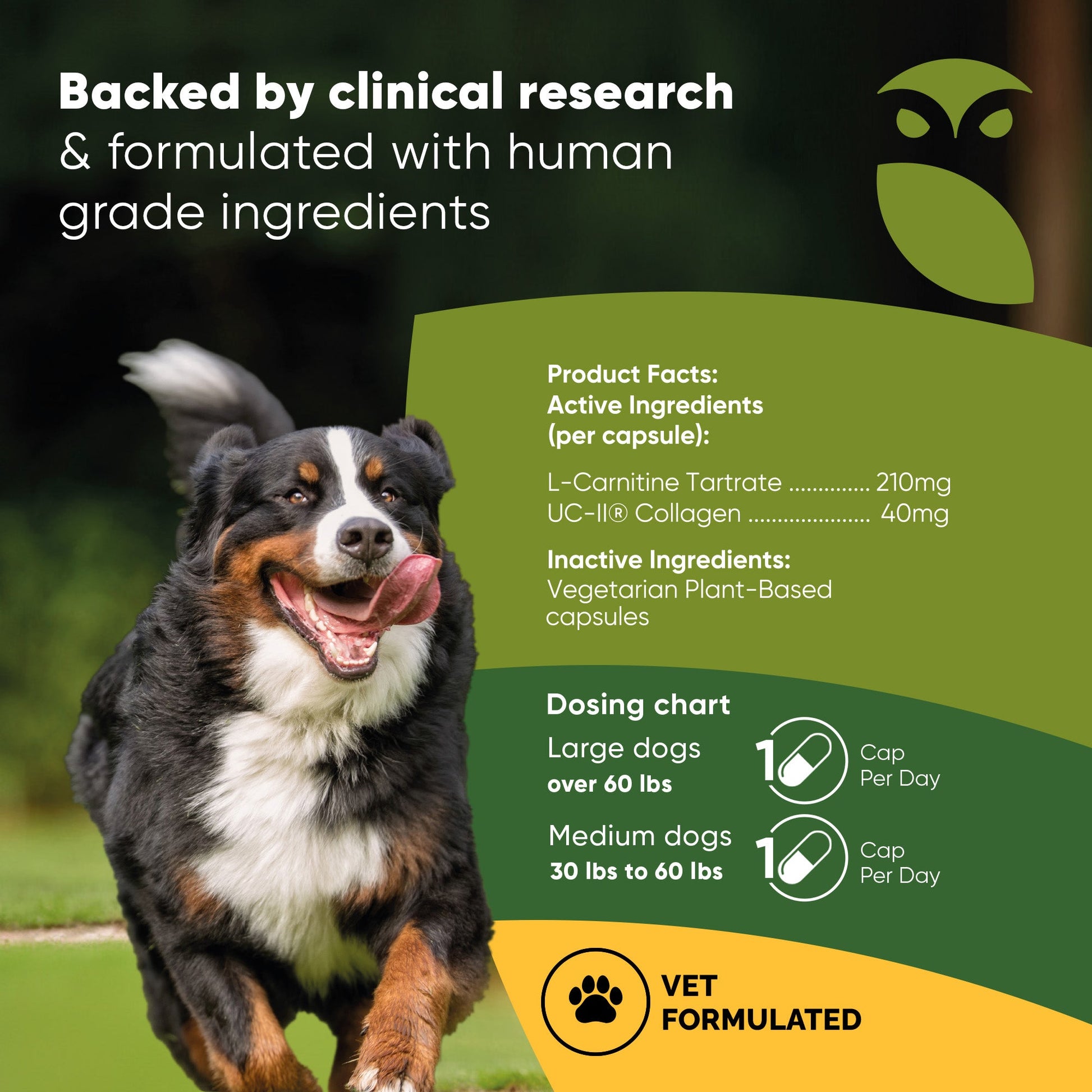 Dog product with clinical research and human-grade ingredients information
