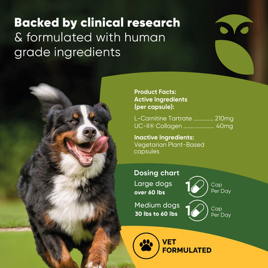 Dog product with clinical research and human-grade ingredients information