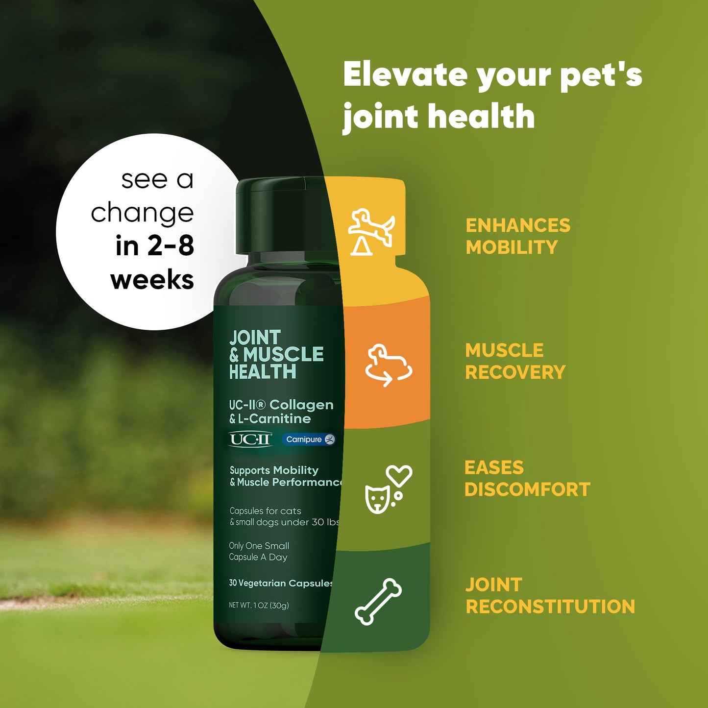 Pet supplement bottle for joint and muscle health with text on a green background