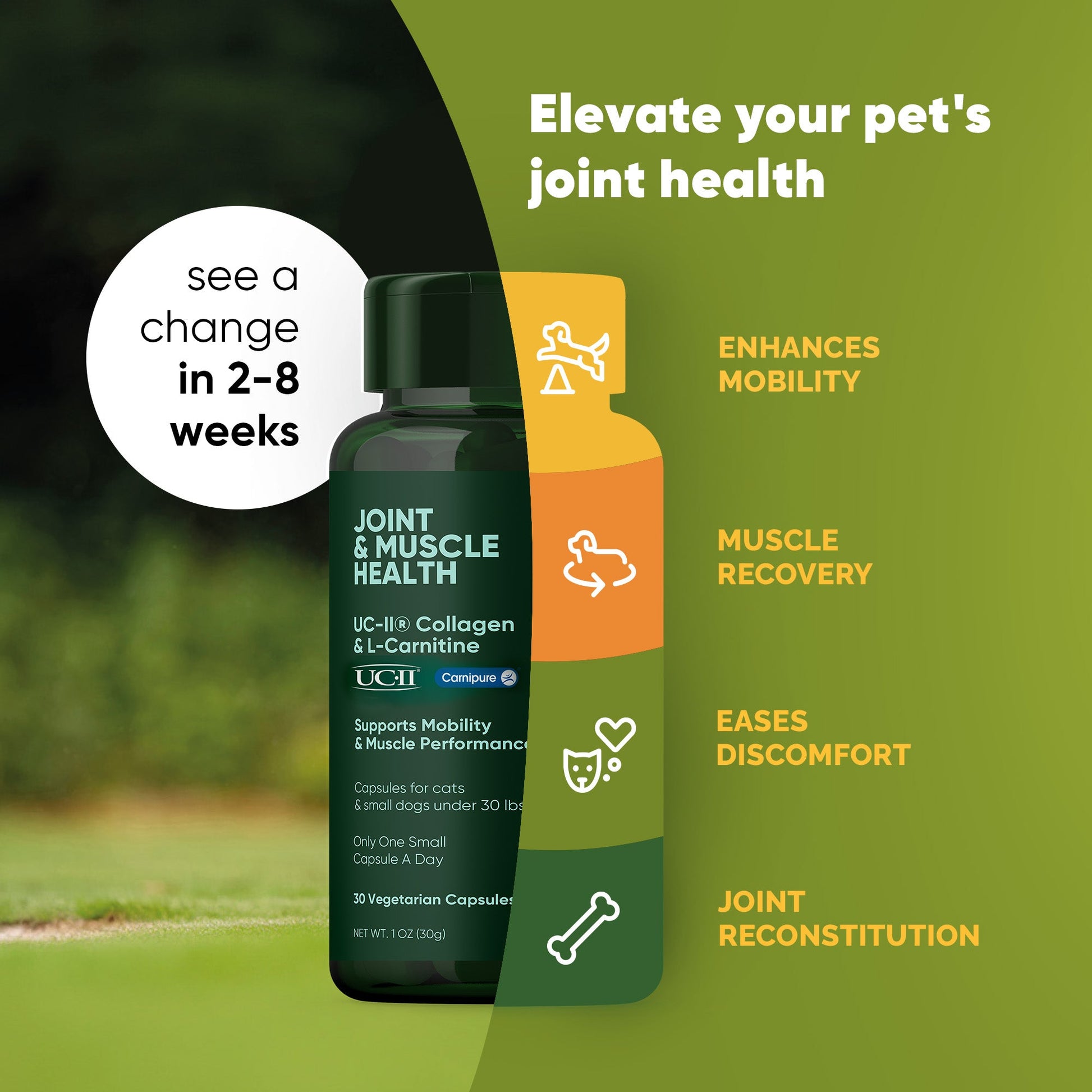 Pet supplement bottle for joint and muscle health with text on a green background