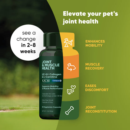 Pet supplement bottle for joint and muscle health with text on a green background