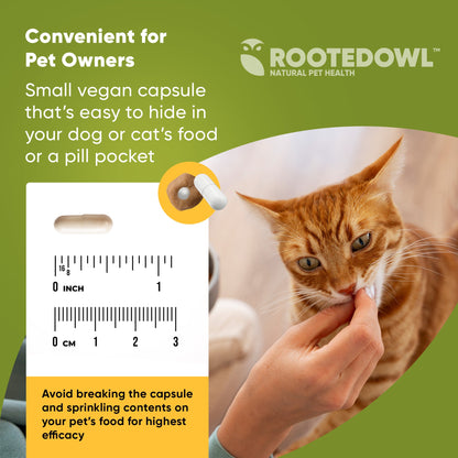Advertisement for Rootedowl natural pet health product with a cat and measurement scale on a green background