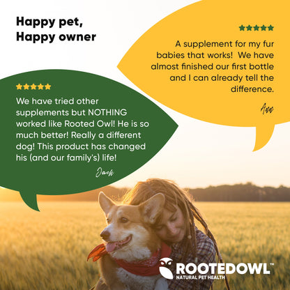 Woman and dog in a field with Rooted Owl supplement product placement