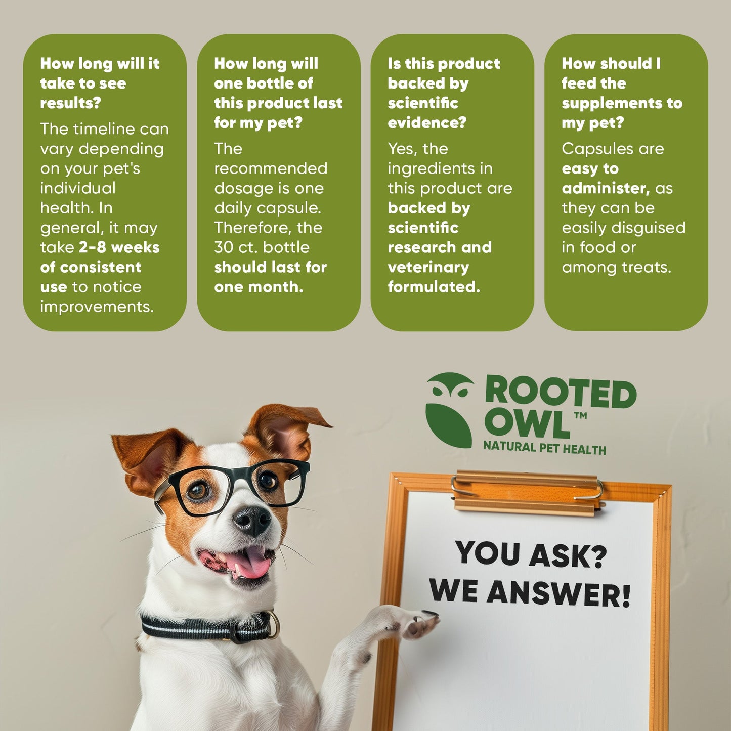 Dog wearing glasses with a whiteboard and 'Rooted Owl' logo on a beige background
