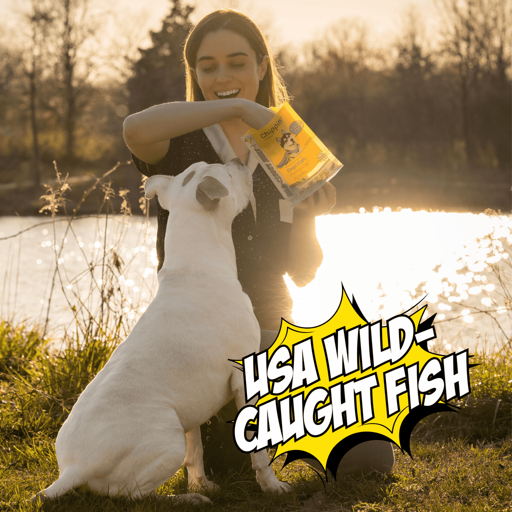 Woman holding a bag of dog food with a dog by a lake, featuring 'USA Wild Caught Fish' text.