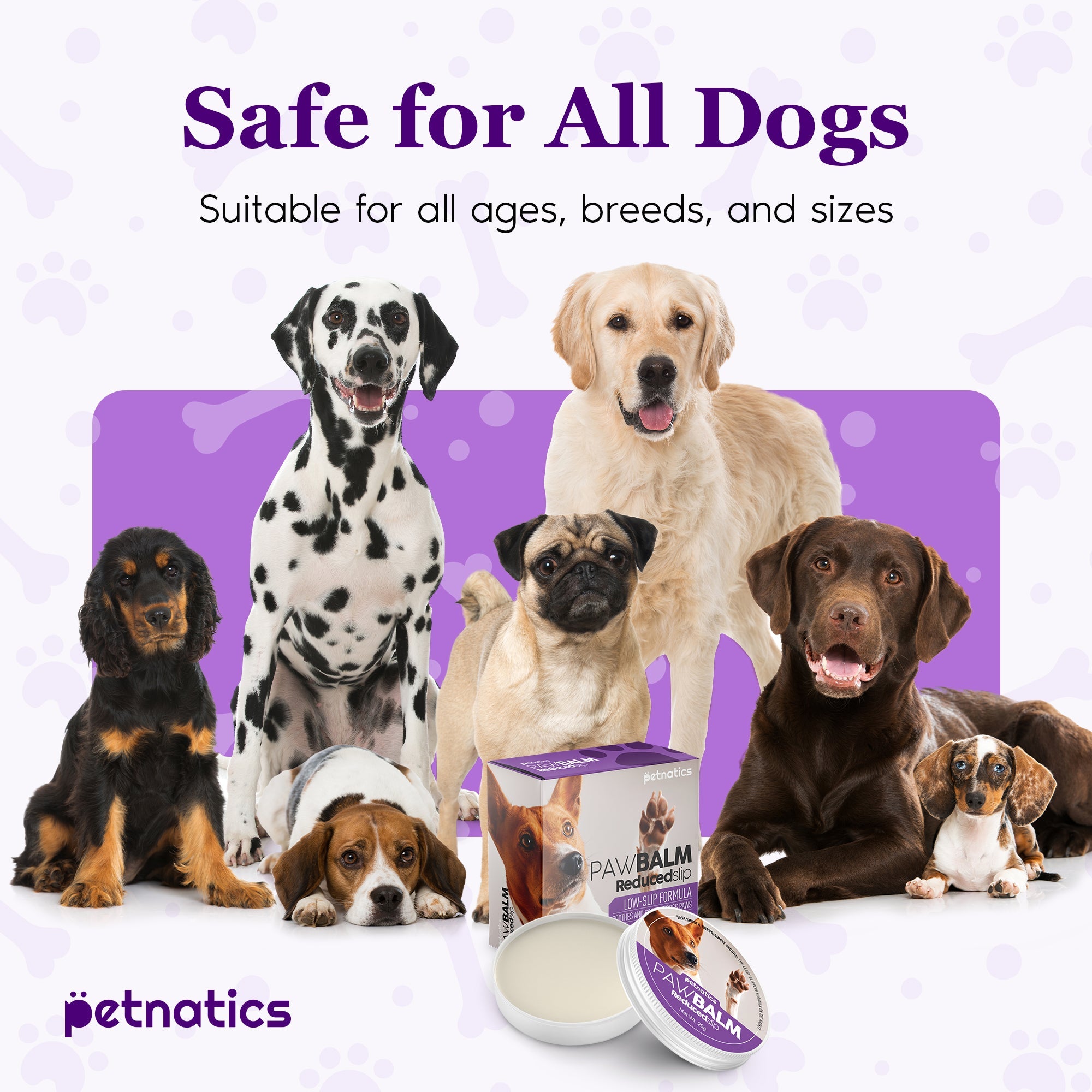 Group of dogs with pet products on a purple background, featuring text 'Safe for All Dogs' and 'Suitable for all ages, breeds, and sizes'.