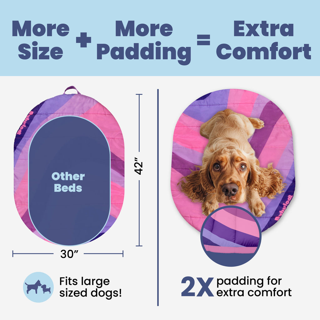 Dog bed with size and padding comparison to 'Other Beds' on a blue background
