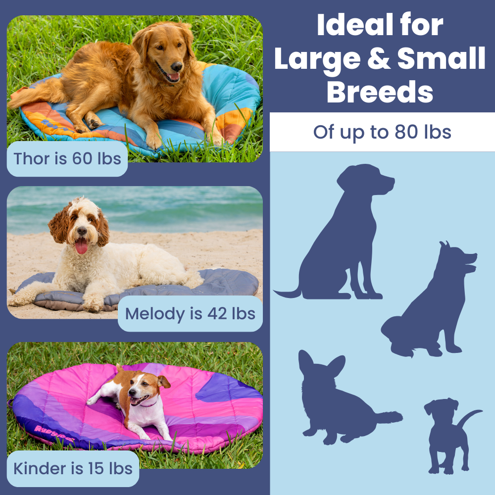 Dog pads for large and small breeds with size chart on a blue background