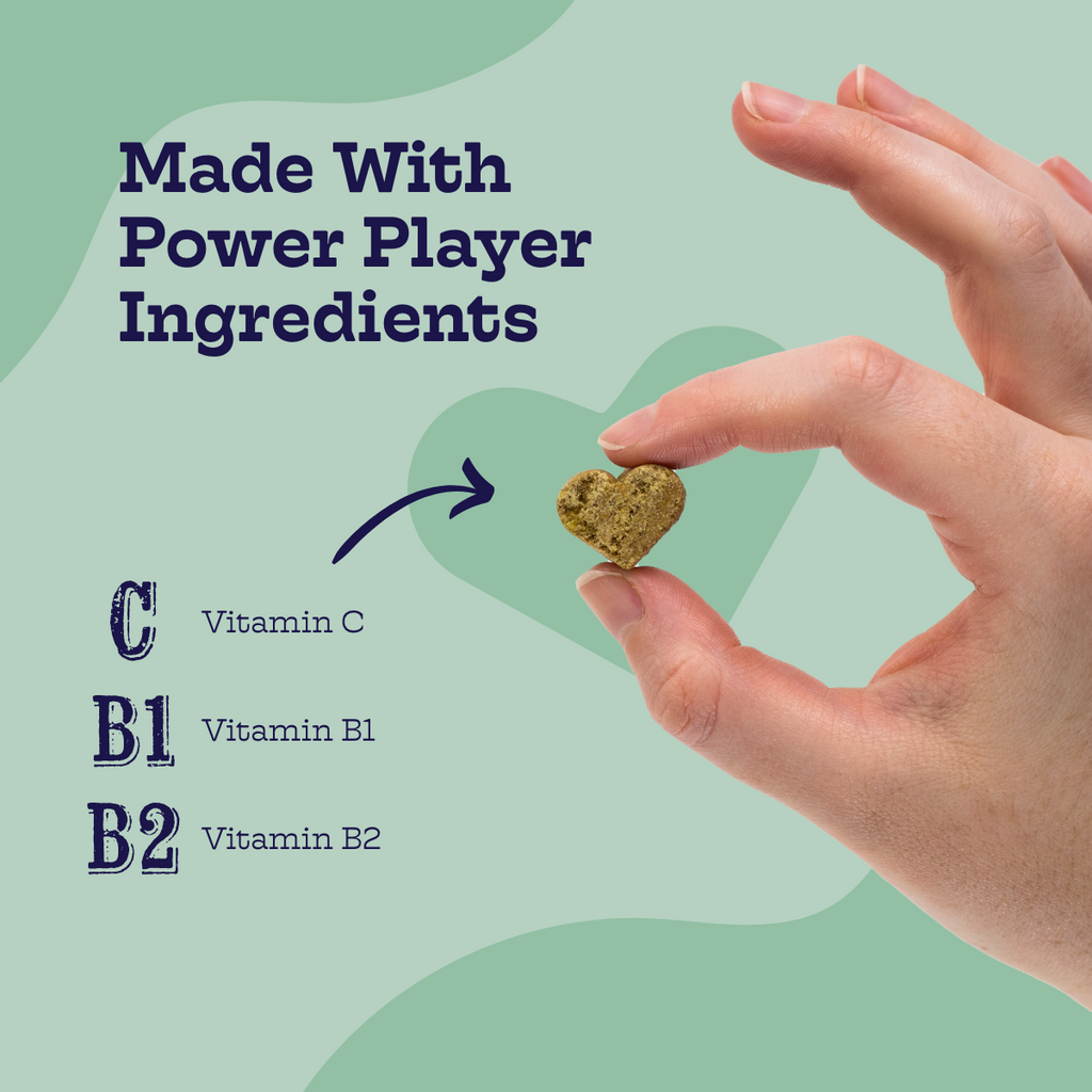 Chicken and Waffles Chews (60 chews per product) - Whisker House