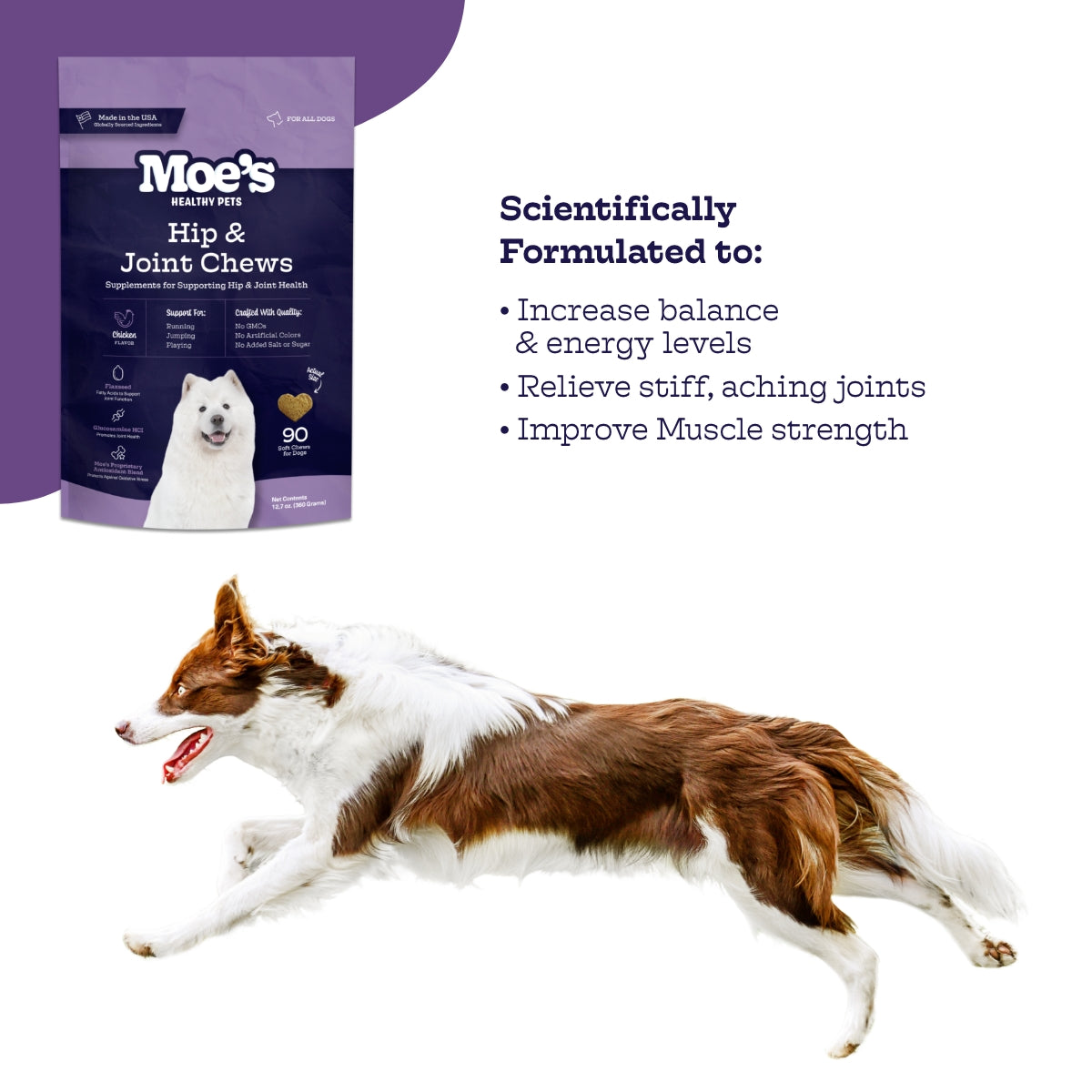 Hip & Joint Chews (60 chews per product) - Whisker House