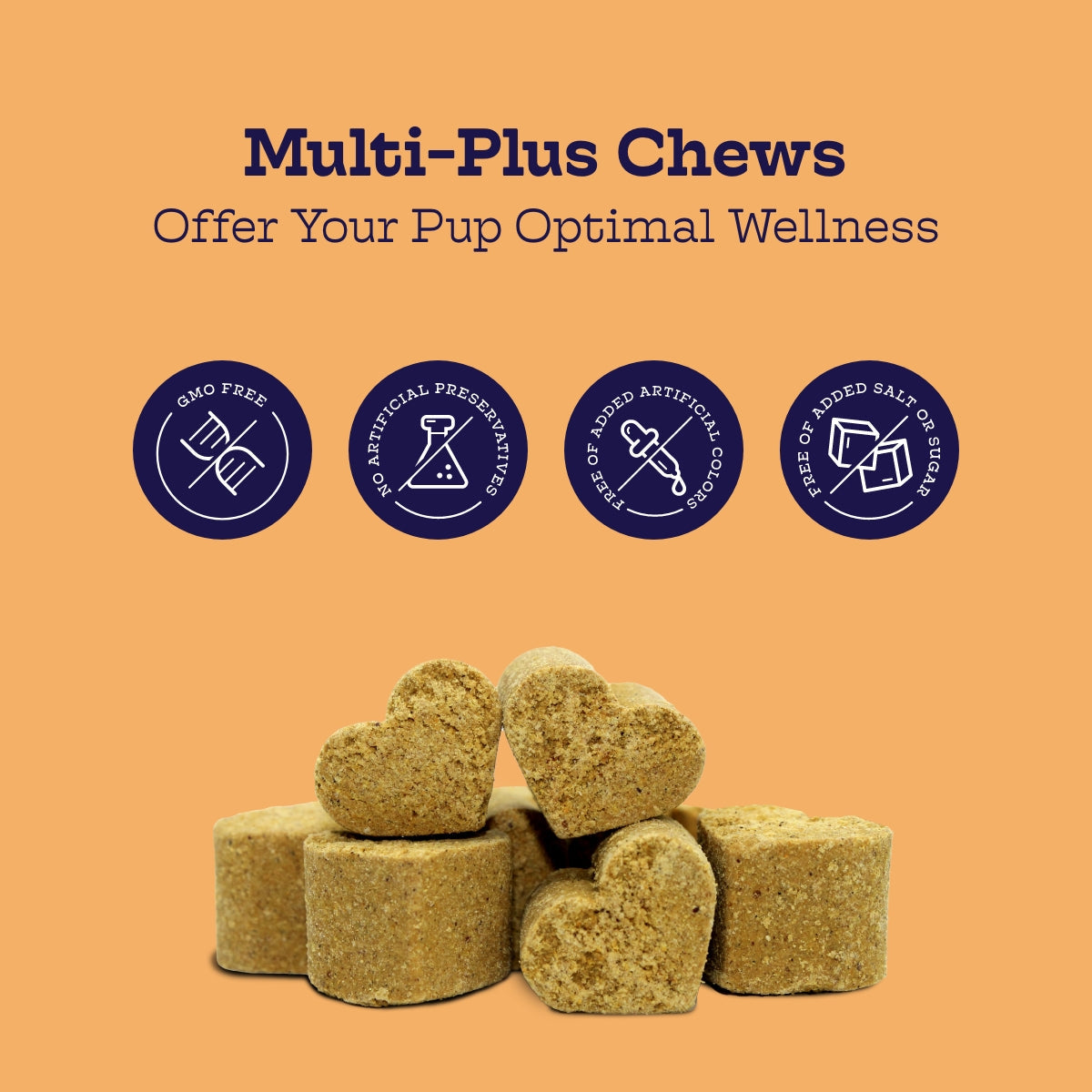 Multi-Plus Chews (60 chews per product) - Whisker House