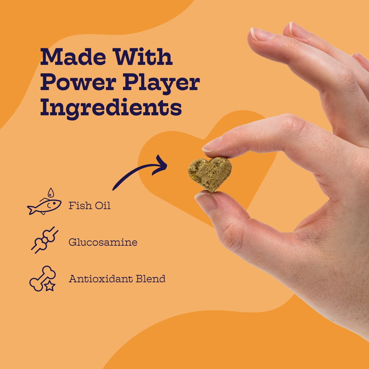 Multi-Plus Chews (60 chews per product) - Whisker House