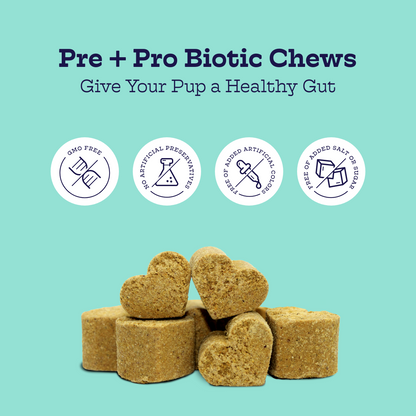 Pre + Pro Biotic Chews (60 chews per product) - Whisker House